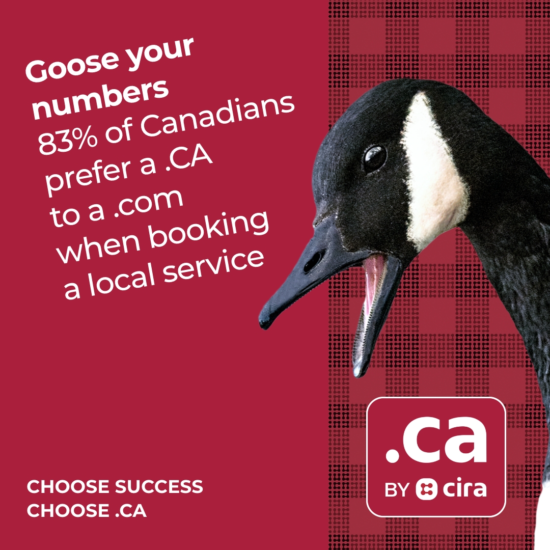 Get Your .CA Domains here!